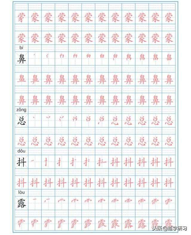 探索自然與技術(shù)的融合之美，最新錄制三樹(shù)林視頻