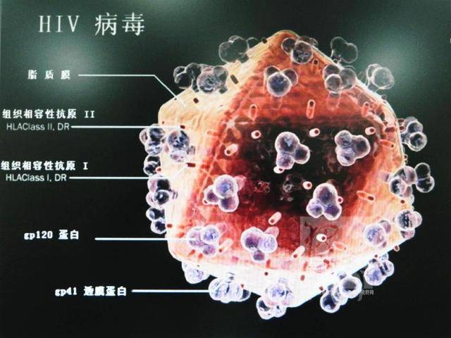 約旦面臨最新病毒挑戰(zhàn)，應(yīng)對(duì)策略與措施的重要性