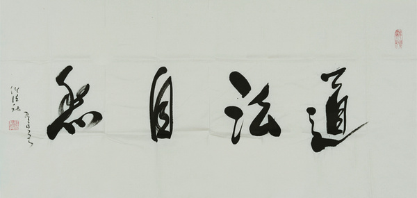 最新書(shū)法大師，傳承與創(chuàng)新的力量展現(xiàn)