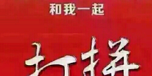北京通金所最新消息全面解讀與分析