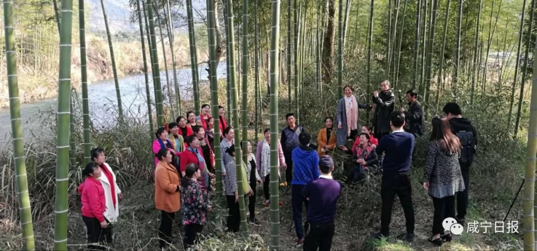 通山最新山歌，傳承與創(chuàng)新旋律的交融之美