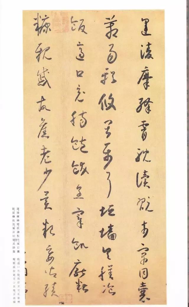 探索小草最新版，重新定義綠色生態(tài)的價(jià)值與魅力