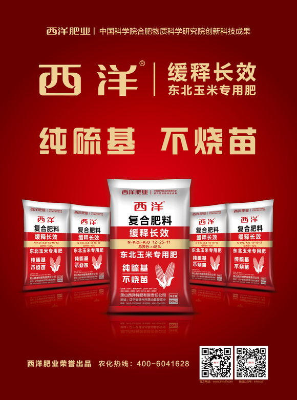 西洋復(fù)合肥最新價(jià)格動(dòng)態(tài)與市場(chǎng)分析綜述