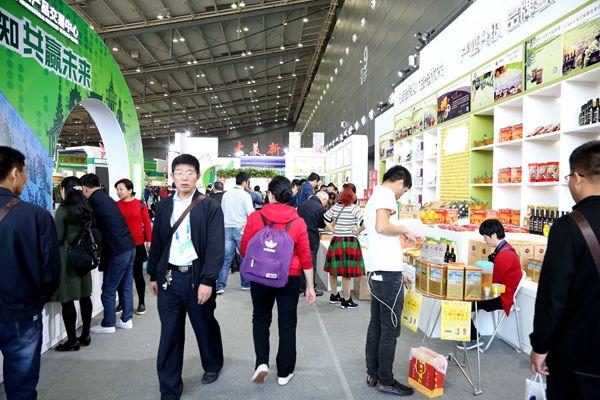 探索橘紅色的魅力，最新橘紅信息與動(dòng)態(tài)更新